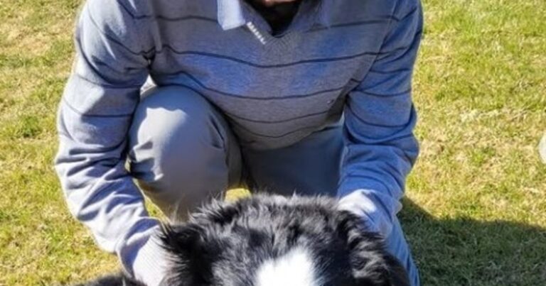 Cómo fue el ataque de cinco pitbulls a un neurocirujano y por qué no denunció al dueño