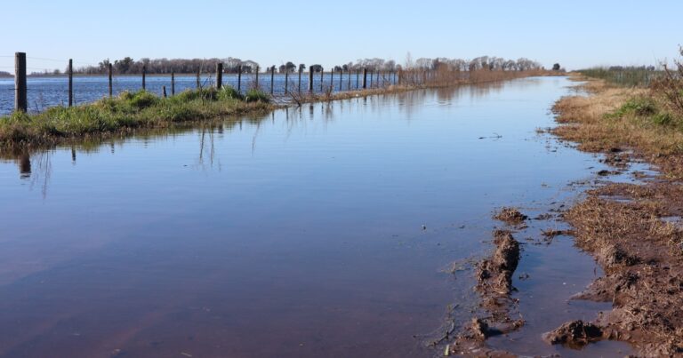 Inundaciones en el centro bonaerense: hay más de un millón de hectáreas bajo el agua y reclaman  medidas