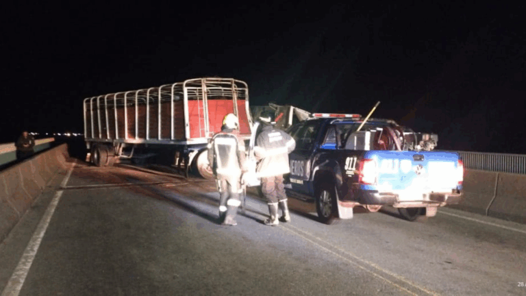 Ruta a Victoria: 3 heridos en choque de camión cargado con ganado y una pickup