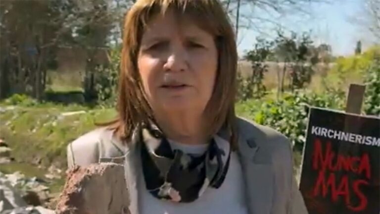 Patricia Bullrich se involucra en la elección bonaerense: «Las ideas no se matan»