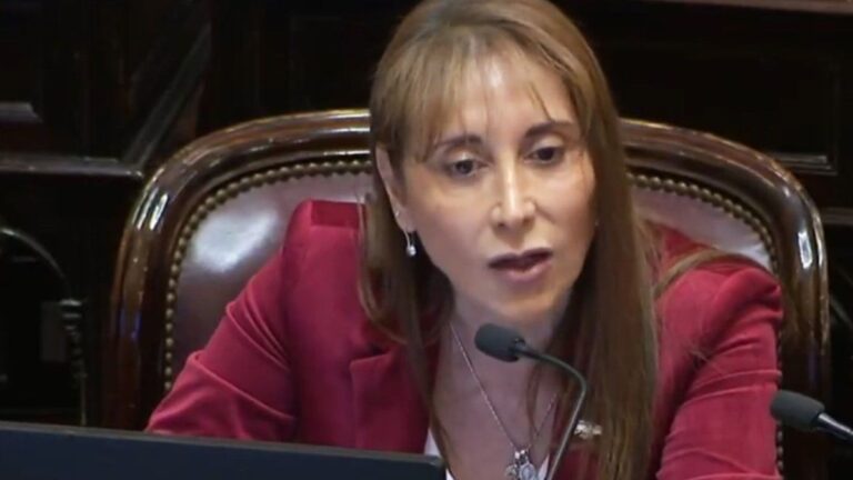 «Karina es alta coimera» llegó al Senado: «Saben qué canta la gente en la calle?»