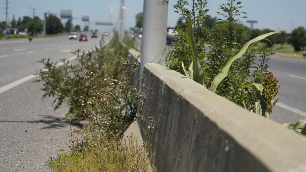 Mapa de la provincia de Santa Fe con iconos representando infraestructura y transporte