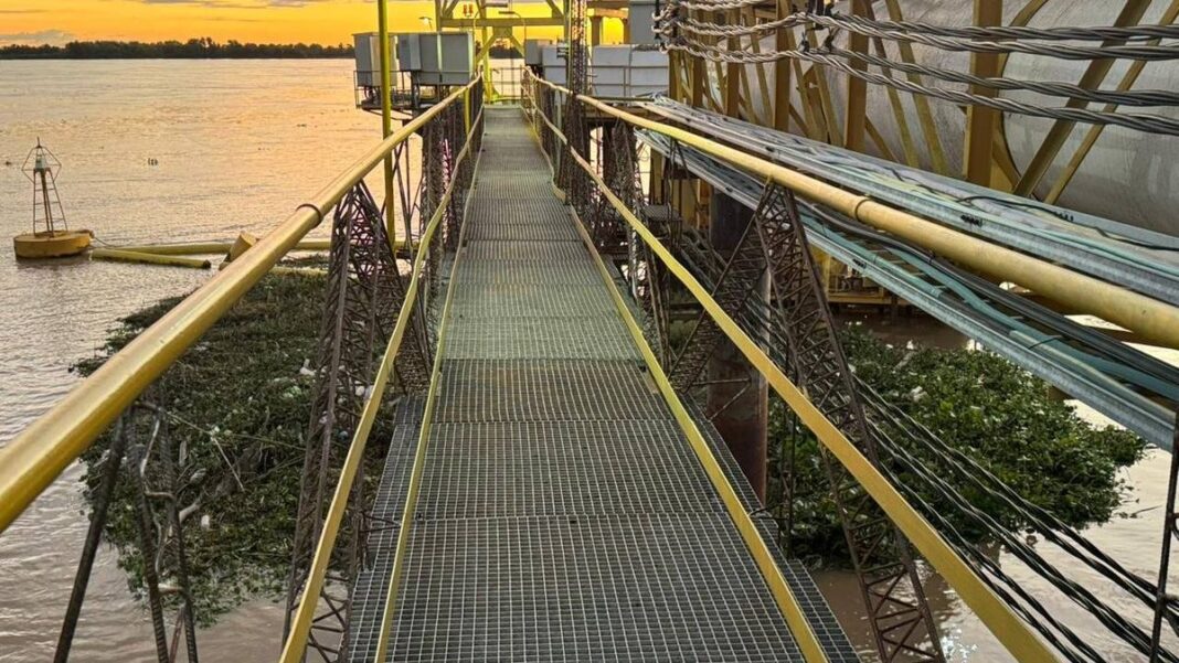 Trabajos de remoción de camalotes en la toma de agua del río Paraná, cerca de la planta potabilizadora de Rosario.