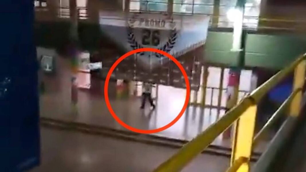 María Cecilia Vranicich, Fiscal General de Santa Fe, durante una exposición en la Legislatura.