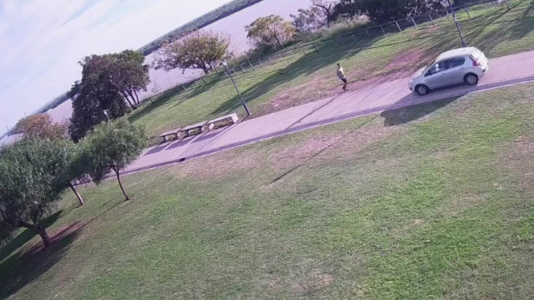 Vista aérea del Parque de las Colectividades en la costanera de Santa Fe