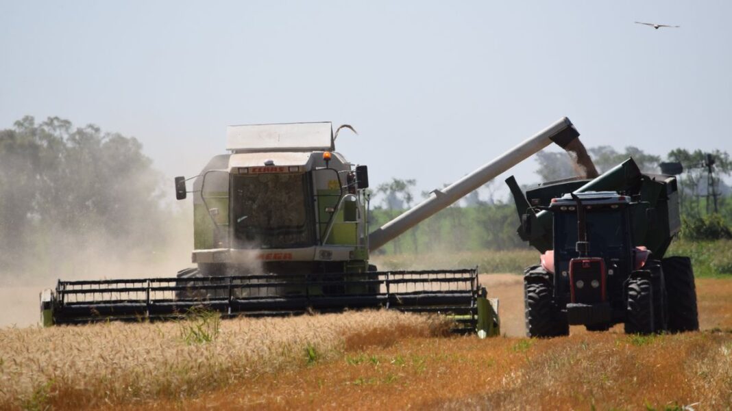 Gráfico estadístico representando la evolución de la actividad económica en Argentina