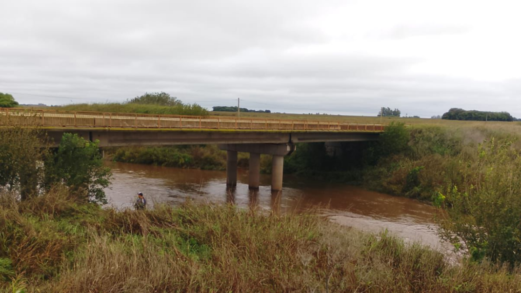 Operativo de rescate de bomberos en un camino rural tras accidente vial.