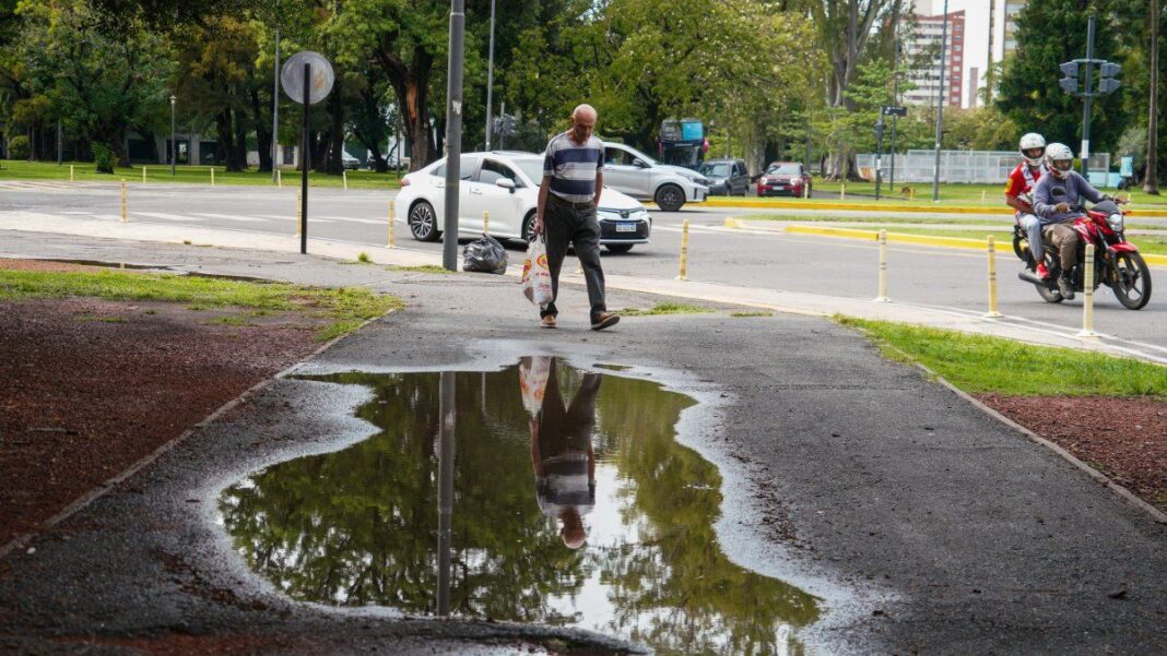 Calle de Rosario con árboles y ramas caídas tras las tormentas del fin de semana