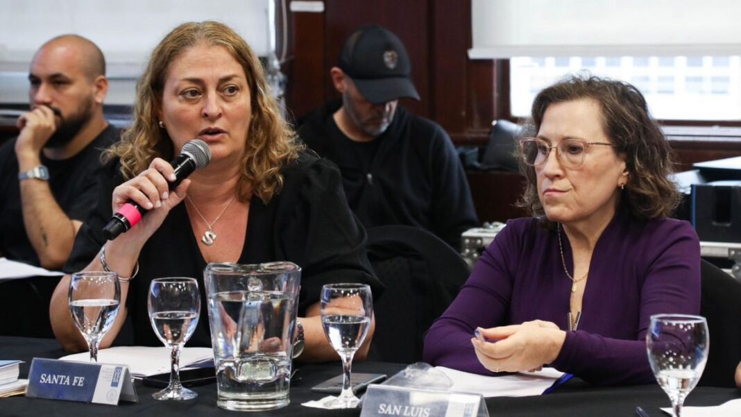 Ministra de Salud de Santa Fe, Silvia Ciancio, durante una entrevista.