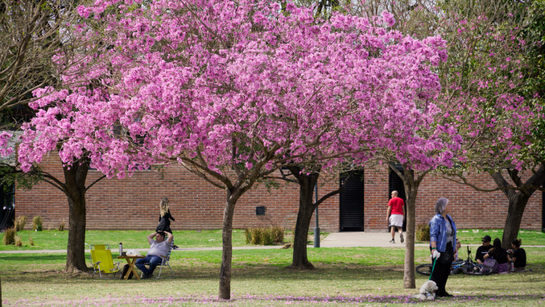 Mapa del pronóstico del tiempo con iconos de sol y nubes sobre la región de Rosario, Santa Fe.
