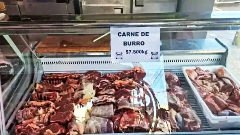 Análisis sobre la comercialización y regulación de la carne de burro en Argentina