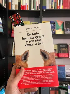 Patricio Pron en presentación de su novela En todo hay una grieta y por ella entra la luz en Rosario