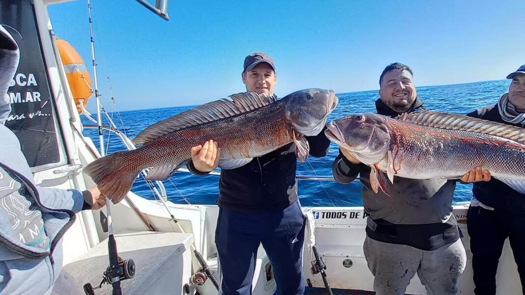Embarcación de pesca deportiva en el mar frente a la costa de Mar del Plata